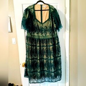 Ivy City Co Green Venice dress with flutter sleeves.